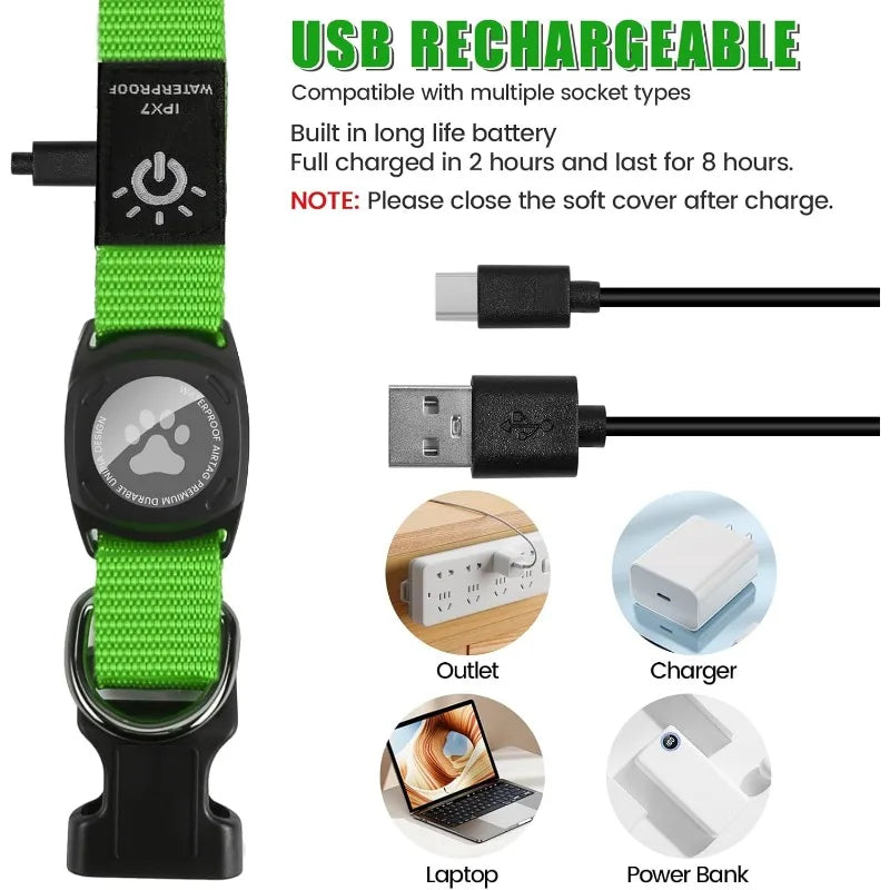 TenderTrack LED Pet Collar Bea