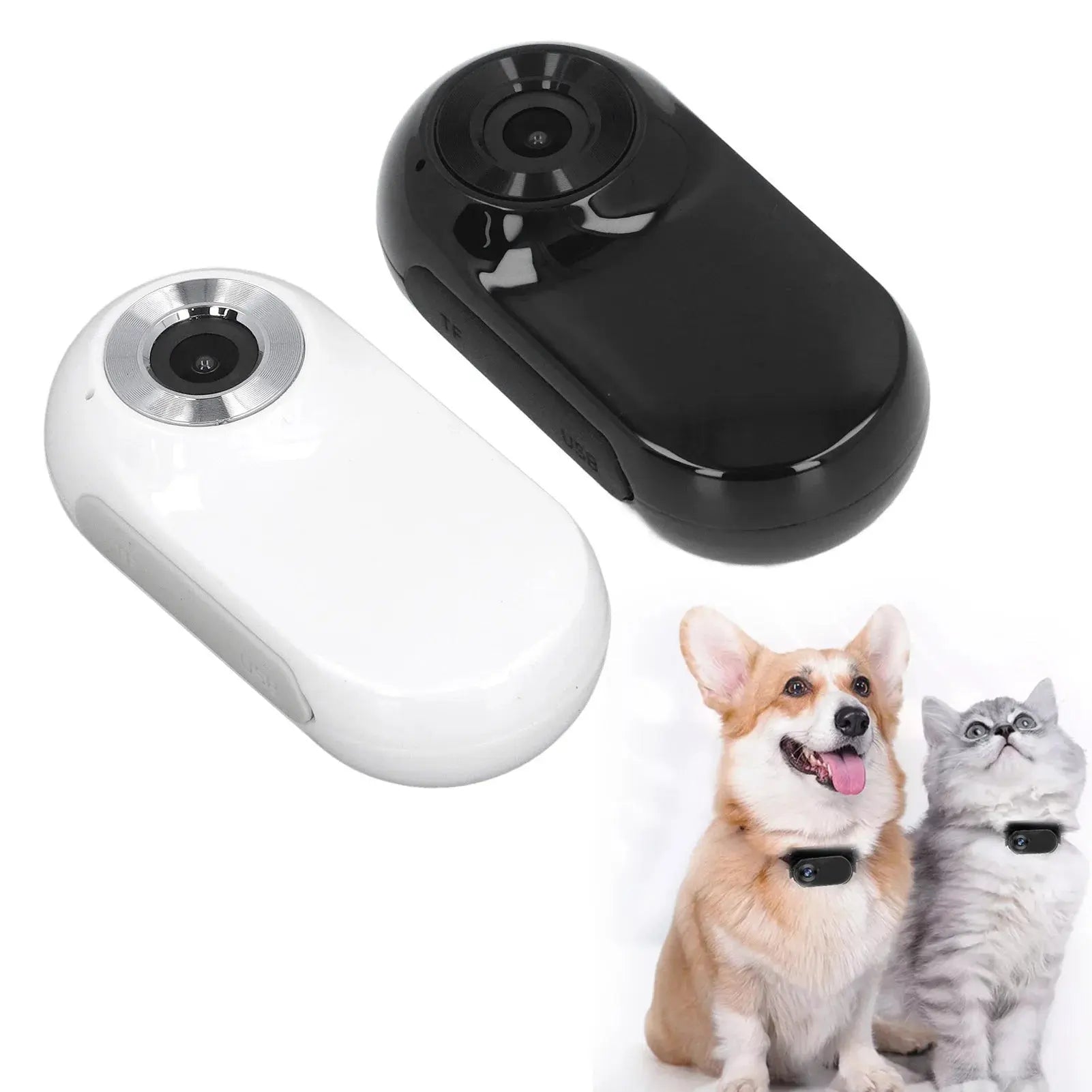 TenderScout Cam Bea
