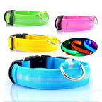 TenderGlow Collar Bea
