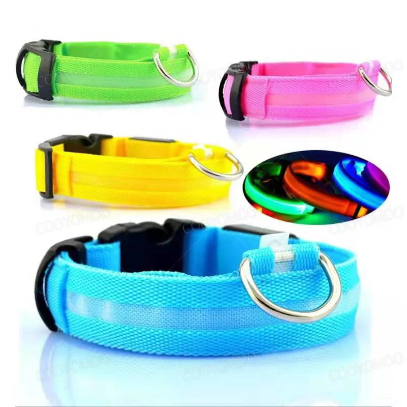 TenderGlow Collar Bea