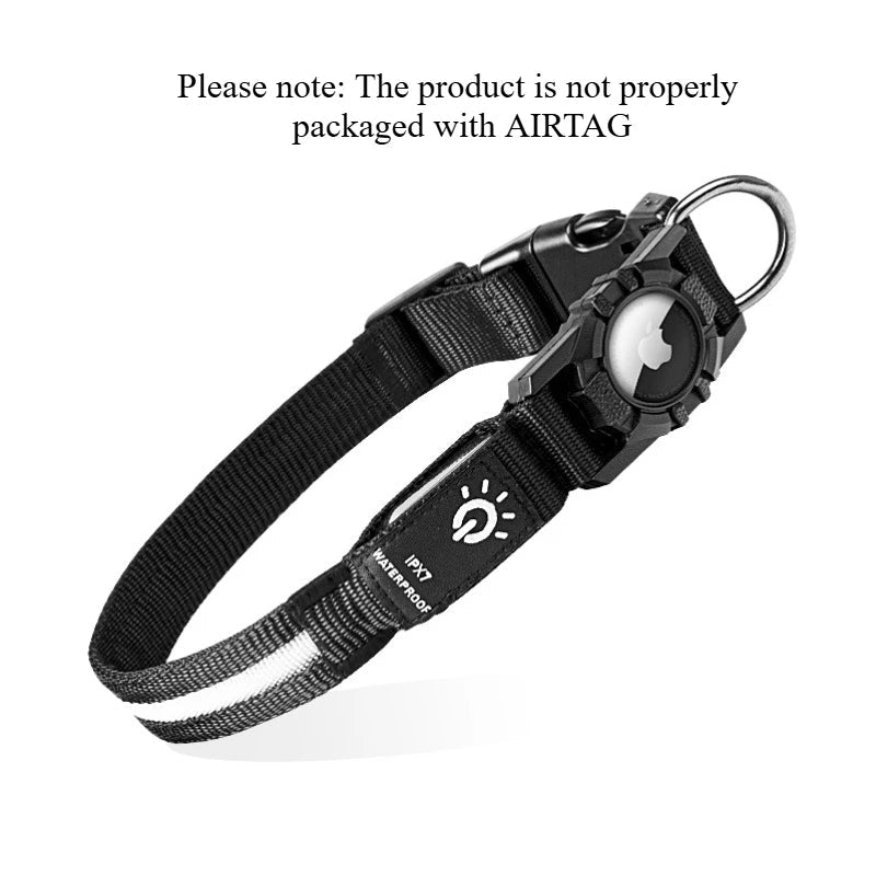 TenderTrack LED Pet Collar Bea