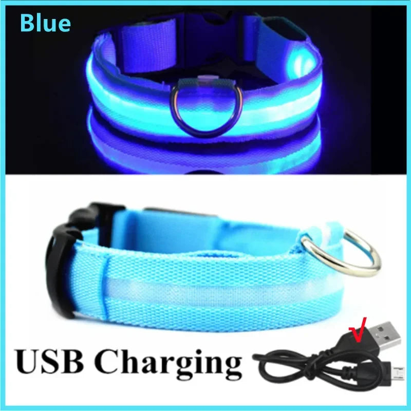 TenderGlow Collar Bea