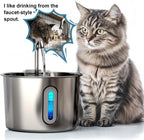 TenderSip Cat Water Fountain Bea