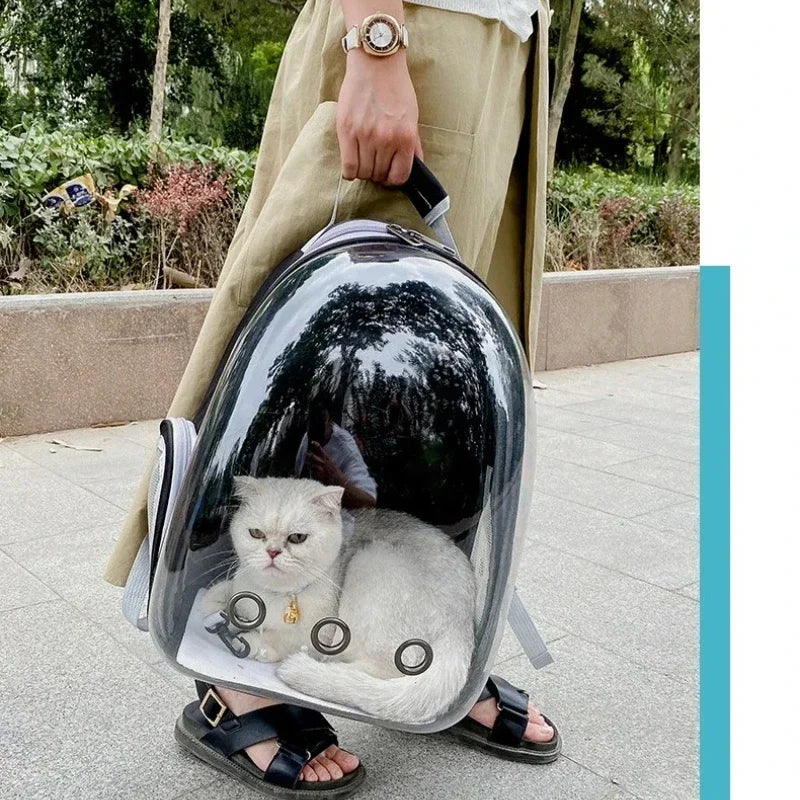 TenderJourney Backpack Bea