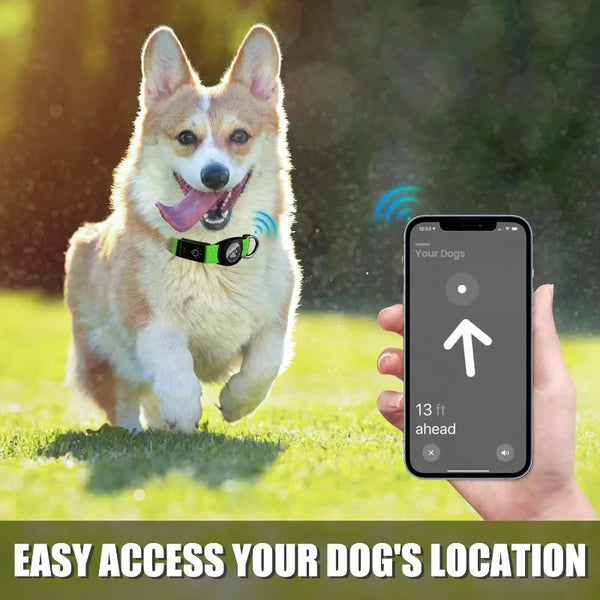 TenderTrack LED Pet Collar Bea