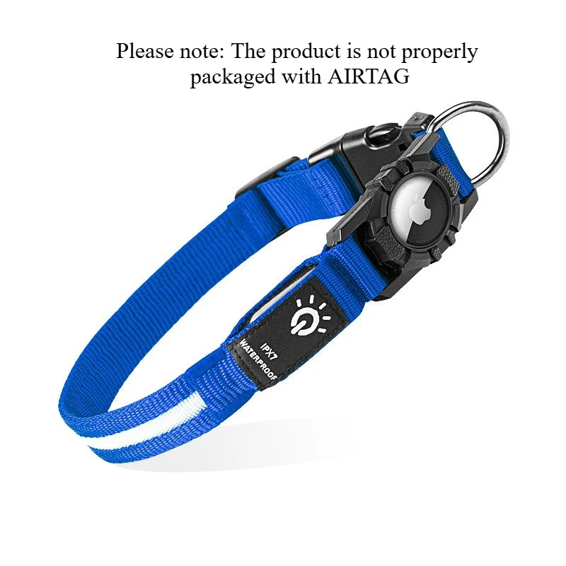 TenderTrack LED Pet Collar Bea