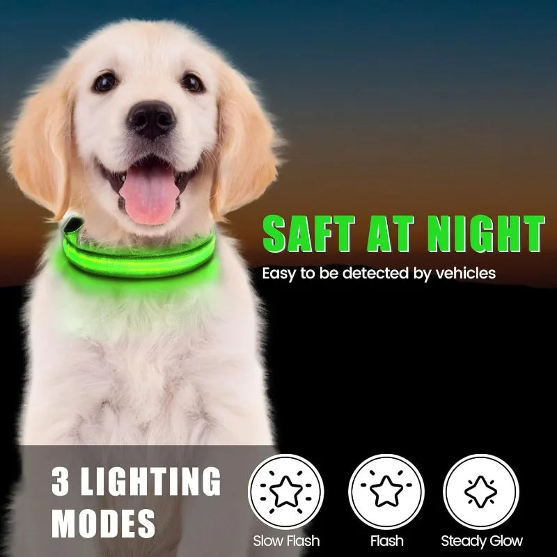 TenderTrack LED Pet Collar Bea
