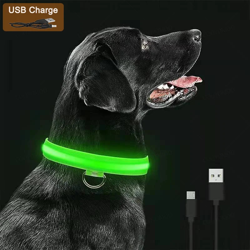 TenderGlow Collar Bea