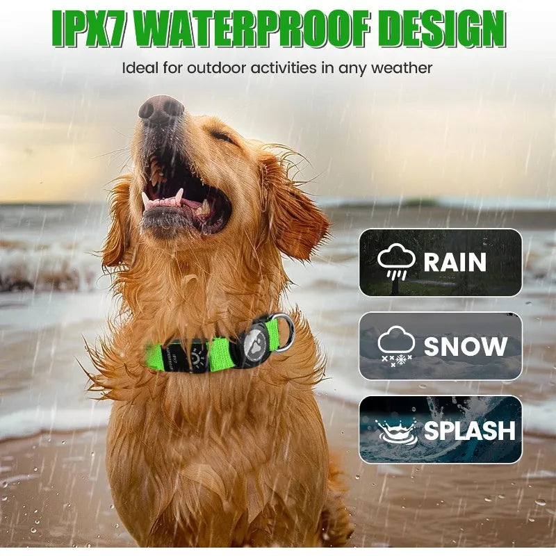 TenderTrack LED Pet Collar Bea