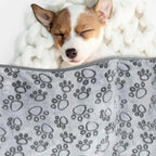 TenderSnuggle Blanket Bea